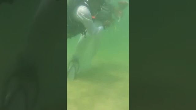 Подводные церемонии бракосочетания