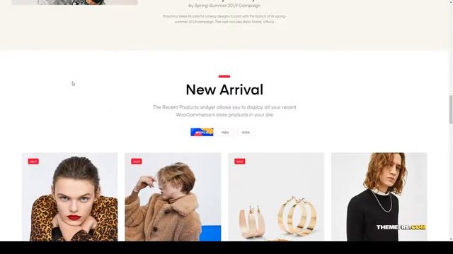 Mizuno - Minimal and Modern WooCommerce WordPress Theme responsive store