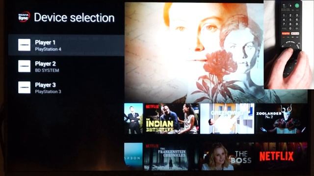 Sync Menu on Sony Bravia Remote
