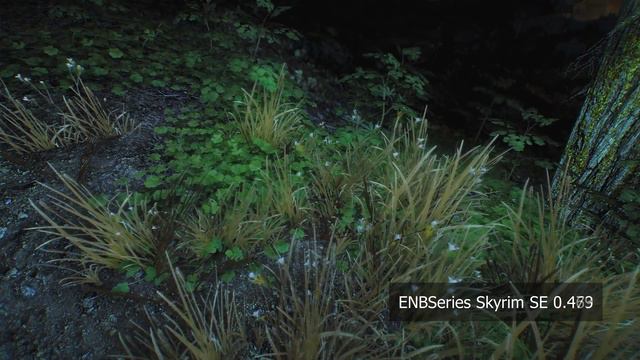 Skyrim Special Edition ENB v0.473 Grass Shading Improvement