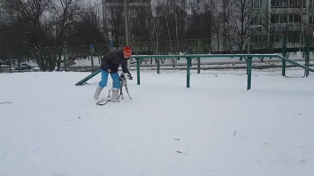 42008509 372710260143885 5677533787221569254 n