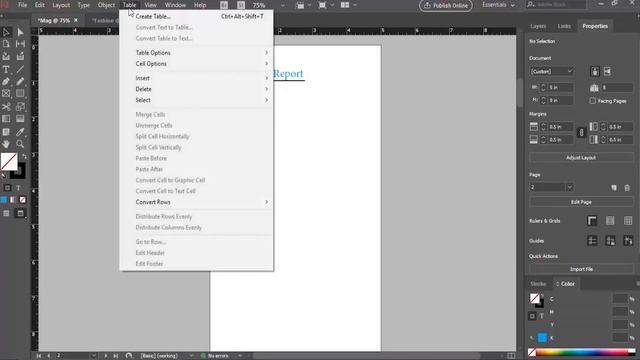 LEARN Adobe indesign IN 20 MINUTES!-Beginners HindiUrdu