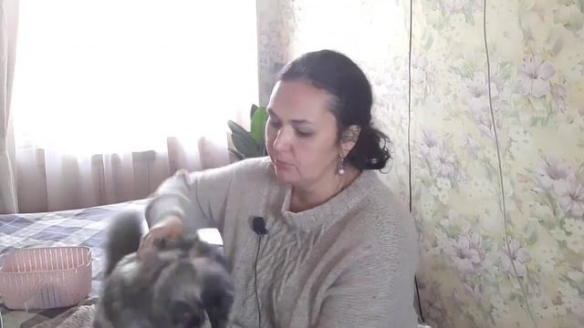 Вязовлог 25.09.2021 // Готовые работы Процессы Покупки