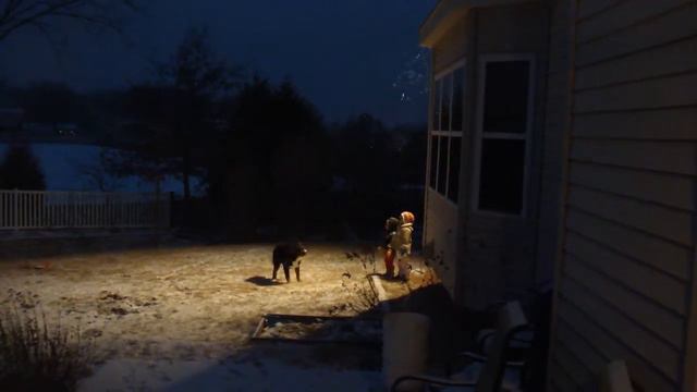 January 2011 Виксен и дети ловят снежинки