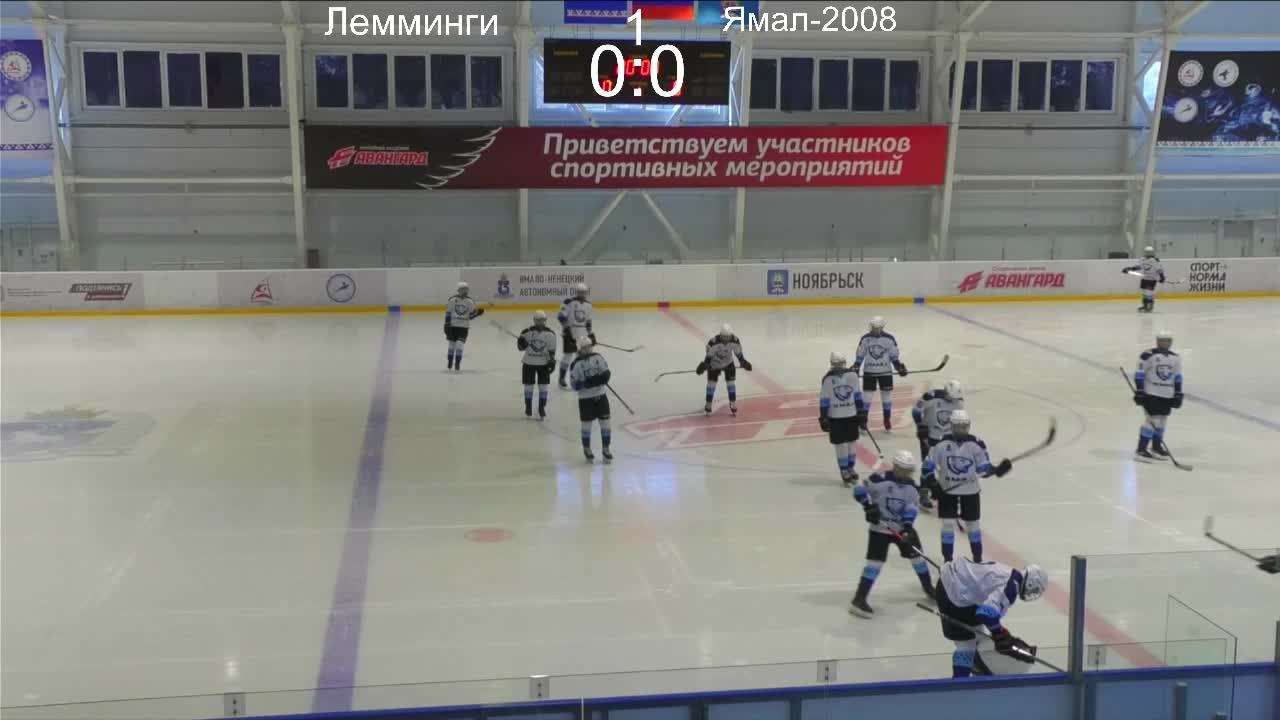 Лемминги - Ямал 2008