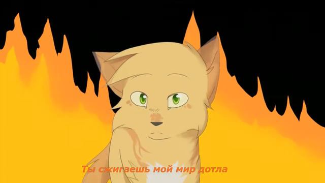 ~Клип~Коты воители~Песчаная Буря и Огнезвёзд~You Set My World On Fire ~