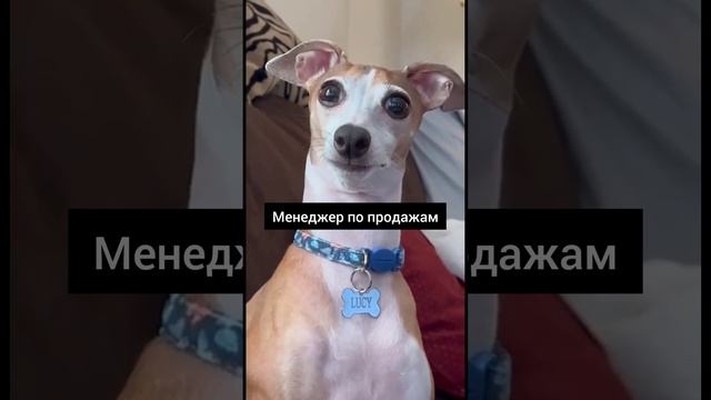 Кто сливает горячих клиентов?