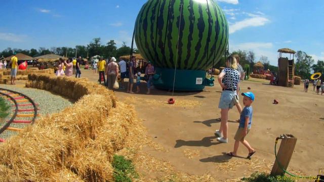 Бахча Пономаревых_июль 2020