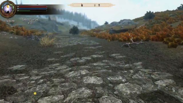 Skyrim but 100 mods