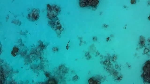 Fushifaru  Maldives By Capital Travel
