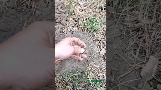 Найден красивый крест с цепочкой