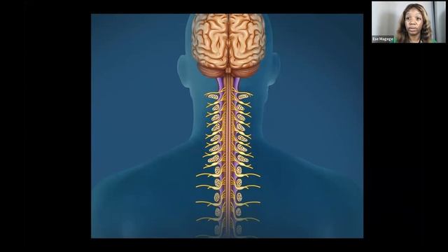 Rosicrucian Principles for Self-Healing and Maintenance of Good Health - Ese Magege