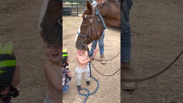 15-Month-Old Loving on His Horse Blake   ViralHog