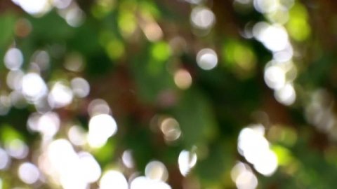 ☺️Тибетские поющие чаши и колокольчик коши: целебные вибрации для души. #звукотерапия #туастаро