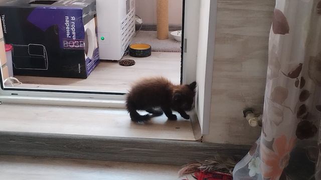 Развиваемся уже.