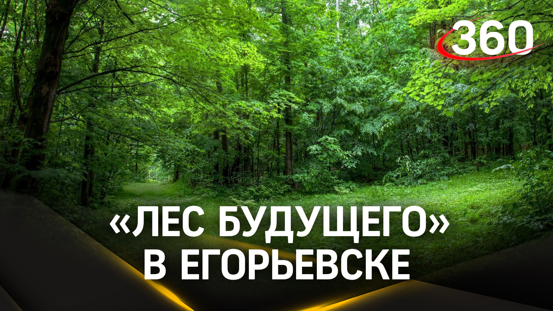 Егорьевск принял участие в акции «Лес будущего»