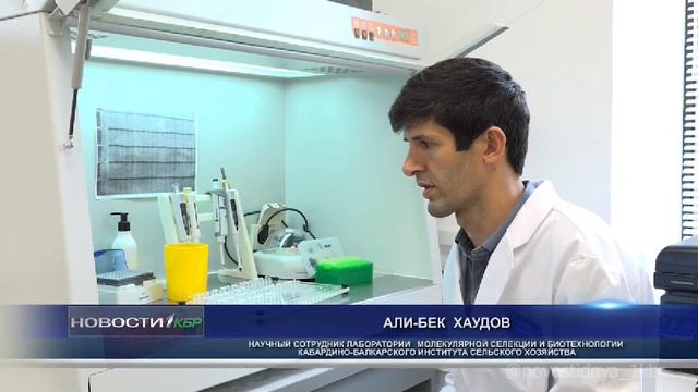 Рабочие будни ИСХ КБНЦ РАН