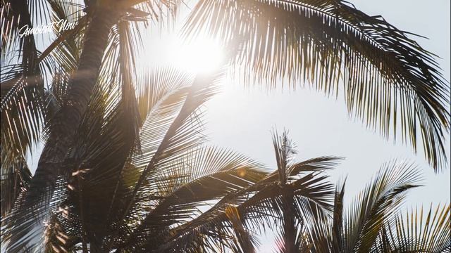 ? AMBIENT MUSIC 2021 For Peace, Relaxation, Study, Concentration, Sleep, Stress Relief | Volume 2