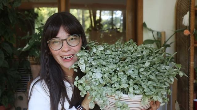 I wouldn't care if these plants died...😬