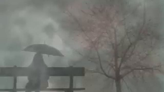 Attila İlhan / Yağmur kaçağı  - Sen beyaz bir kadınsın