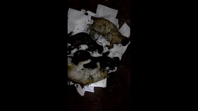Поджог 3 Октября 2017 года 1