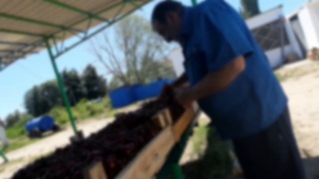 РЫНОК БАЗАР. Продали черешню. ЦЕНЫ 2020