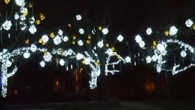 Новогодний Петербург 2013
