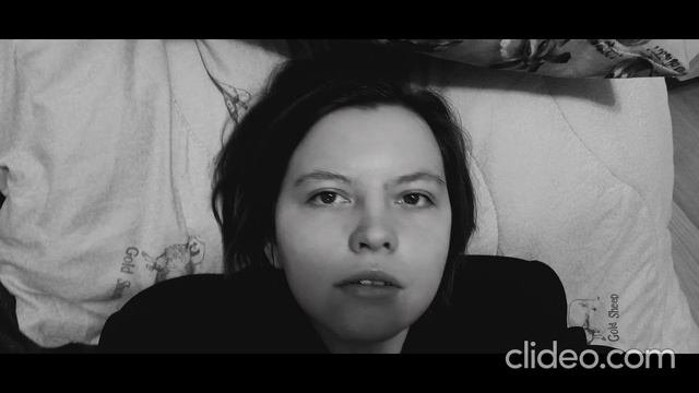 Чайка - Птицы