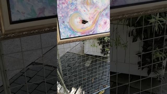 Бабочка на картинах художника Ирайды Тресвятской