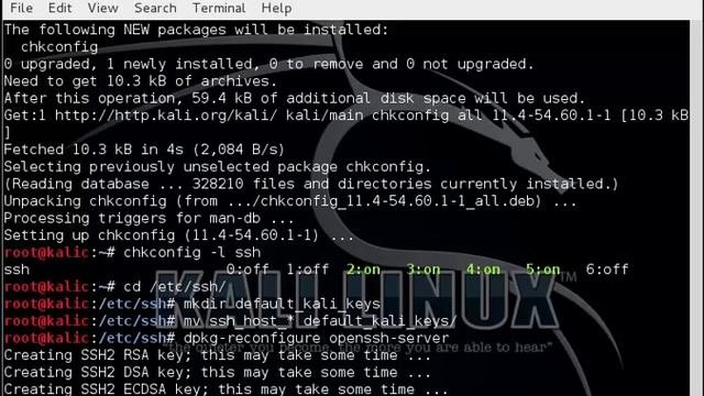 08 Actualizar Kali Linux habilitar ssh modo bridge
