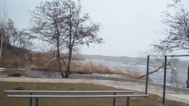 Дача Свиденко