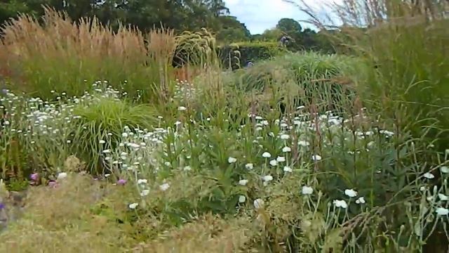 Garden Room For Every Mood - The Bay Garden Wexford