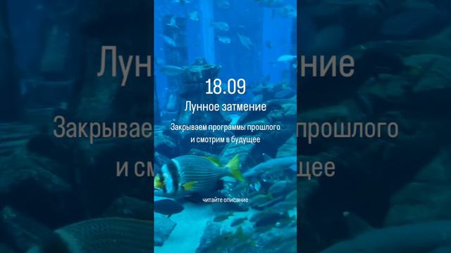 Лунное Затмение 18.09. Завершаем программы прошлого и создаем картину будущего