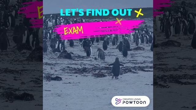 Java FX Bonus Task ID: 180103085