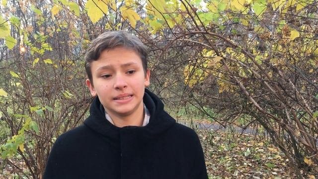 Стихотворение. И.С. Тургенев Осенний вечер
