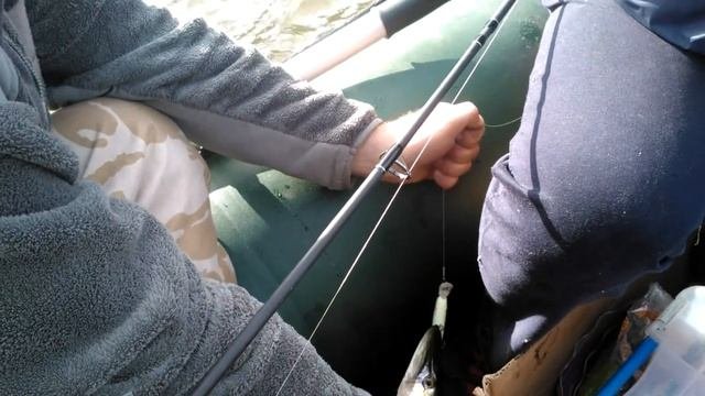 На лодке за грибами