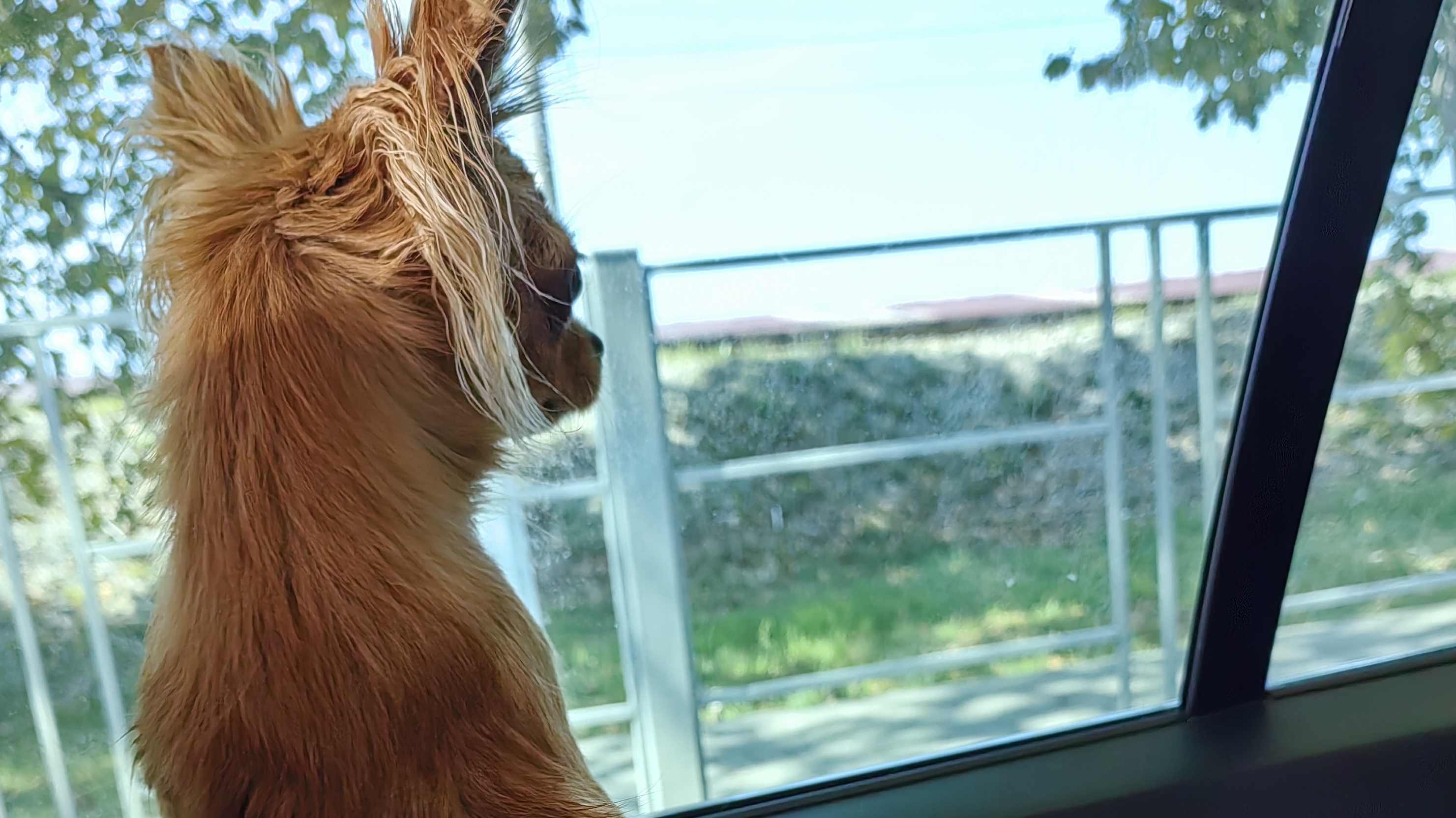 Отпуск 2024,едем в Абхазию