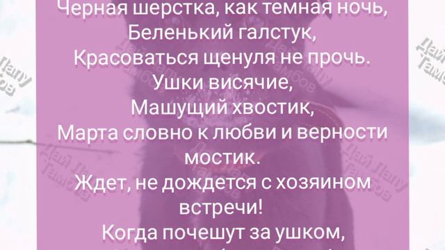 21 марта 2021 г.