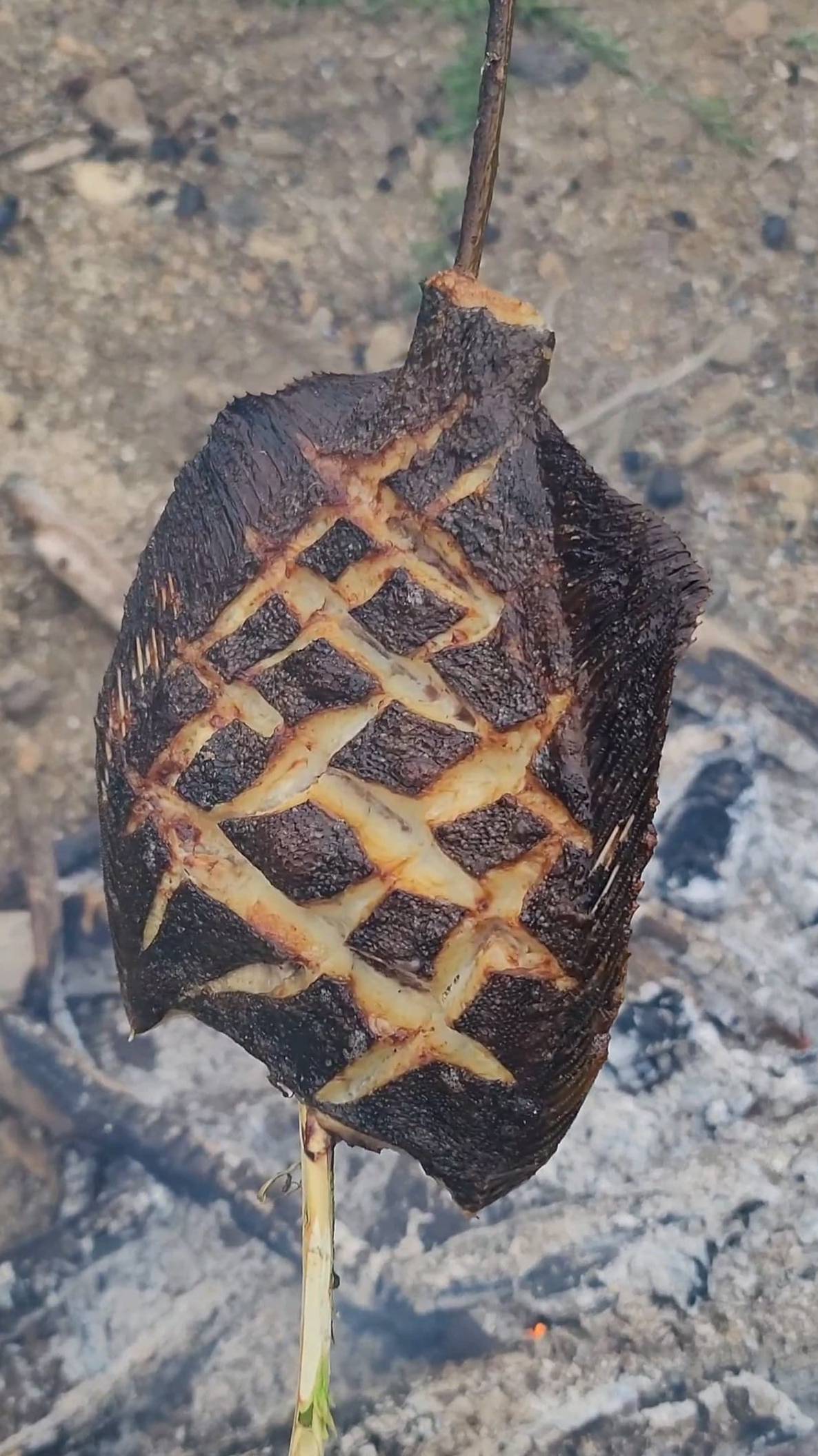 Камбала вместо шашлыка на костре 🔥