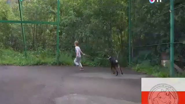 Григорий Манев посетил Осетию Алано