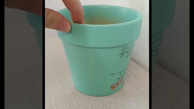 Керамическое кашпо