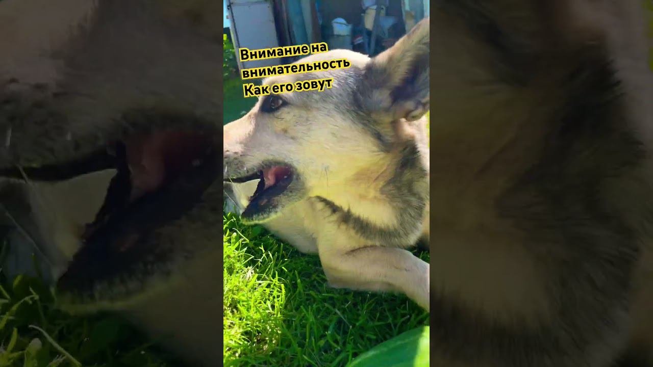 Его зовут Филя