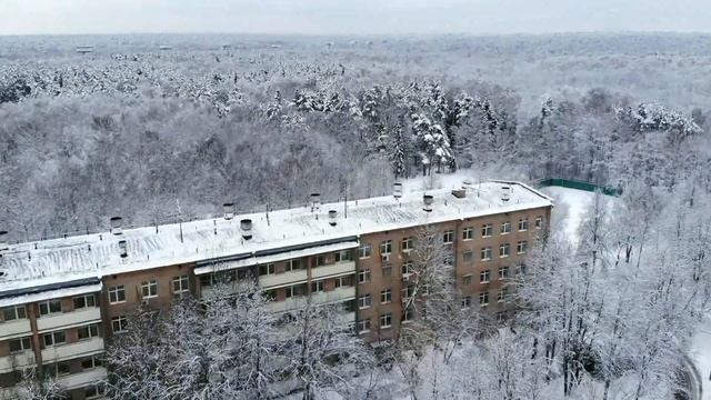 Поздравление коллег с Новым 2022 годом!
