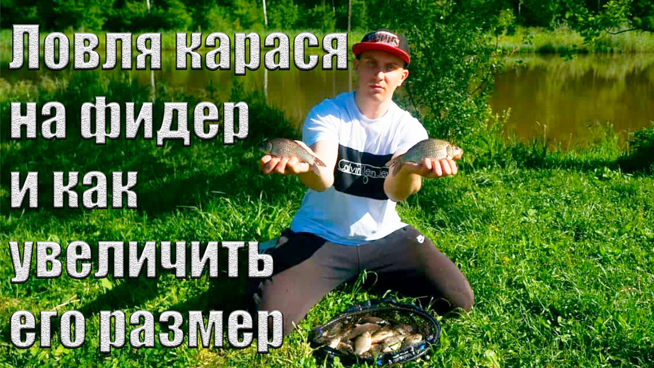 Ловля карася на фидер и как увеличить его размер