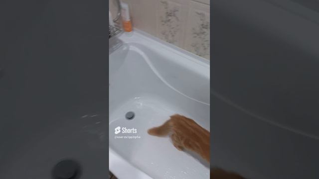 Ванный футбол