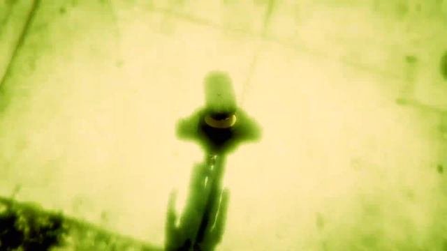 GTA V - 21# PATRULHAMENTO ESTÁ EM DIA !!!!