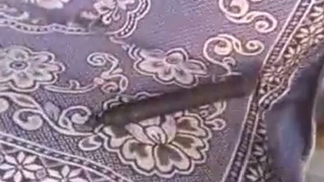Заготовка мяса на зиму