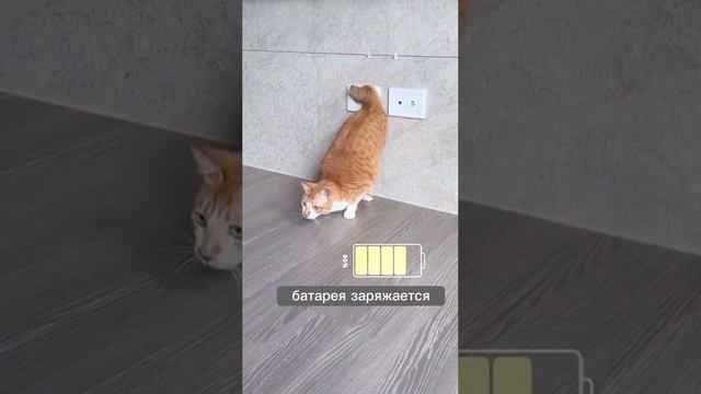 Подзарядка