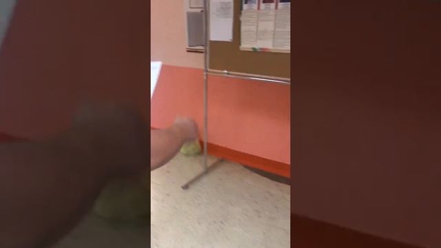 Средняя школа 8 заводского района г Минска