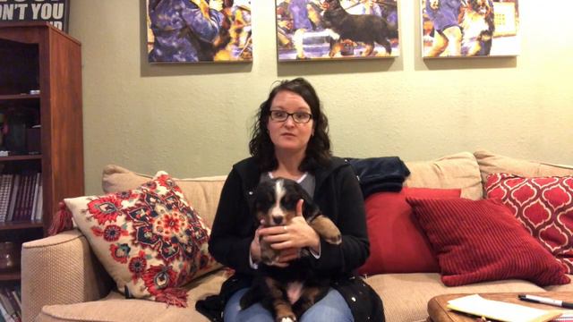 How to talk with Dog Breeders. When searching for a puppy to buy, what is okay to ask breeders??